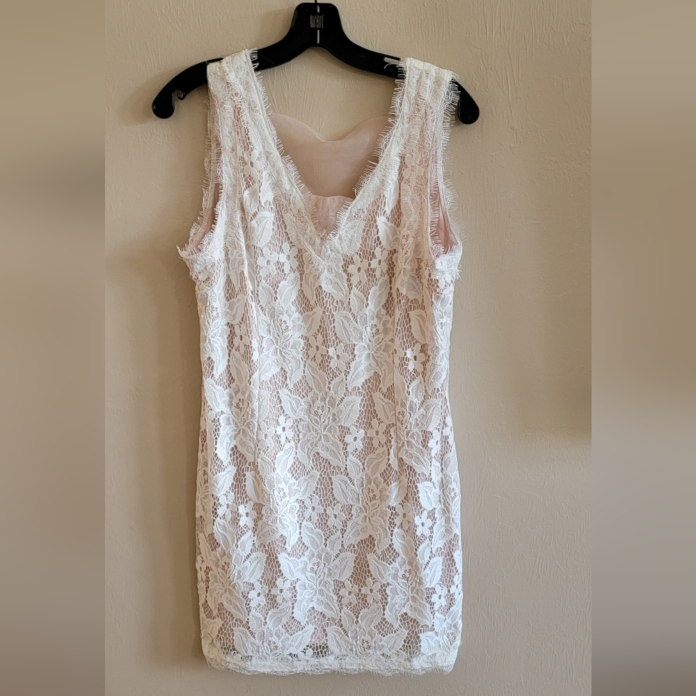 Large Lace Dress